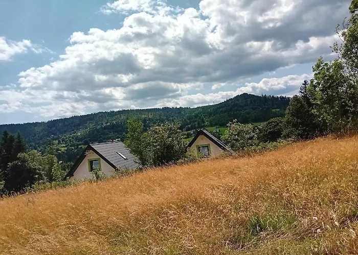 Wichrowe Wzgorze בקתה ויסלאו